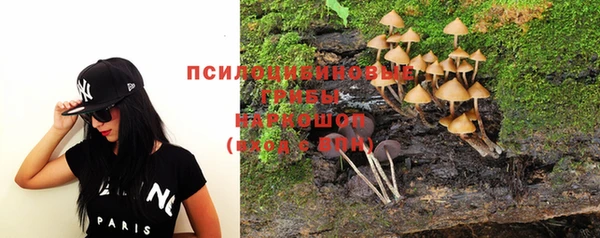 эйфоретик Абинск