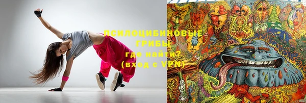 шишки Алексеевка