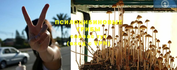кокс Абдулино